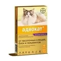 Ліки для котів та кошенят недорого кошенят