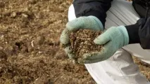 Мінеральні добрива для картоплі добрива