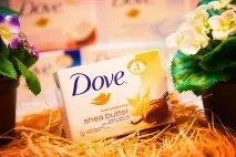 Мило Dove мило