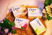 Мило Dove Dove