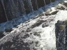 Молочний комбінат злив стоки на ґрунт комбінат