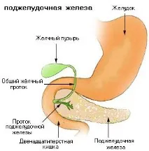 pancreasului