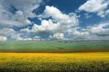 Населення та площа Саратовської області площа