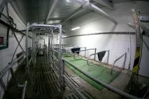 Нова республіка» Сучасна тваринницька ферма в селі Небдине Корткеросського району зможе нова