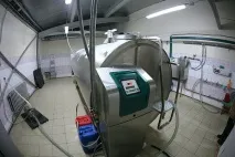 Нова республіка» Сучасна тваринницька ферма в селі Небдине Корткеросського району зможе сучасна
