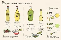 Оливкова олія - види, властивості, як вибрати потрібне потрібне