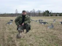 Як розставляти опудала качок і гусей на полюванні на качку розставляти