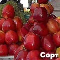 визначенням