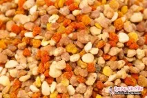 Перга як правильно приймати та зберігати цілющий продукт приймати
