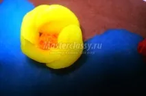 Вироби із пластиліну на дисках жаби
