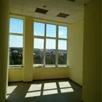 Фарбування стін та стель у школах фарбування