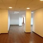 Фарбування стін та стель у школах стін