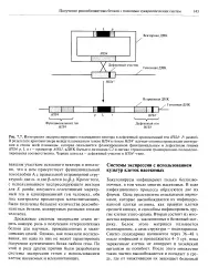 Поліедрин - Велика Енциклопедія Нафти та Газа, стаття, сторінка 1 стаття
