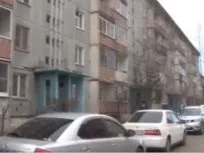 Пурхають як метелики та оруть як коні відомі жінки поділилися секретами успіху оруть