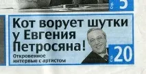 Загубився кіт! кішки