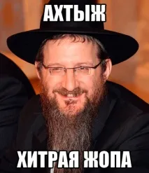 Загубився кіт! кішки