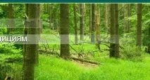 проекти