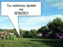 Соло помідорів - Секрети сімейної кухні соло