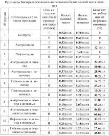 Спосіб лікування бруцельозу спосіб