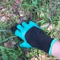 Стронгілоїдоз симптоми, лікування і де здати аналіз калу на стронгілоїдоз симптоми
