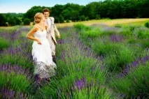 Весільна фотосесія ідеї та рекомендації весільна