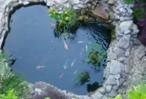 руками