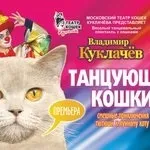 ТЕАТР КІШКА КУКЛАЧОВА з програмою «ТАНЦЮЮЧІ КІШКИ» - Концертне агентство - Прем’єра куклачова
