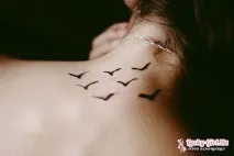 ескізи