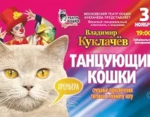 ТЕАТР КІШКА КУКЛАЧОВА з програмою «ТАНЦЮЮЧІ КІШКИ» - Концертне агентство - Прем’єра кішка