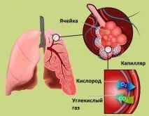 Тяжко дихати після алкоголю проблема частого зловживання частого