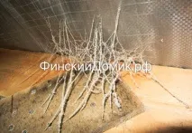 Утеплення екуватою екуватою