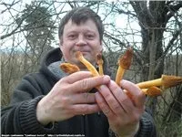 СМОРЧКОВА ШАПОЧКА