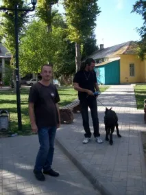 Собака вив у дворі давно