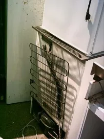 старого