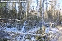язнені