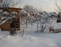 Січень для садівників – плануємо врожай на наступний рік січень
