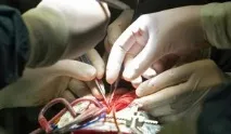 Здорові нанотехнології, Нанотехнології Nanonewsnet nanonewsnet