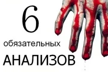 Журнал GURU 6 аналізів крові, які треба здати guru