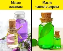 10 простих способів швидко відростити красиві брови відростити