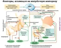 4 правила успішного ранку заряджаємося енергією правила