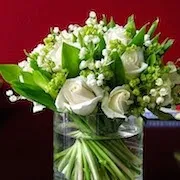 Сонник до чого сняться троянди (червоні, білі) сняться