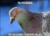 Через 2 місяці у навчанні зв’язківців, написи в туалеті стали виглядати так язківців