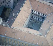 А що у вас на задньому дворі дворі