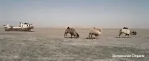 море