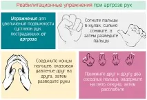 кистей