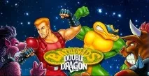 Battletoads & Double Dragon, ігровий процес, рівні battletoads