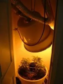 Компактний гроубокс "Бочка зелені" (Barrel Of Green) компактний