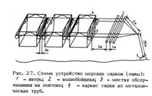 Біотехніка вирощування райдужної форелі в солонуватих та морських водоймах вирощування