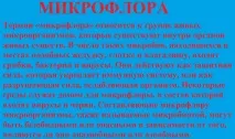 Бужування уретри у чоловіків та жінок жінок