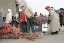 Ціни на омську картоплю виявилися найнижчими в Україні - українська газета омську